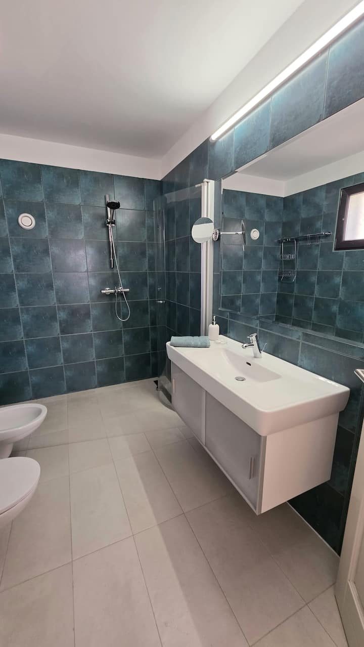MareVista teal bathroom with walk-in shower