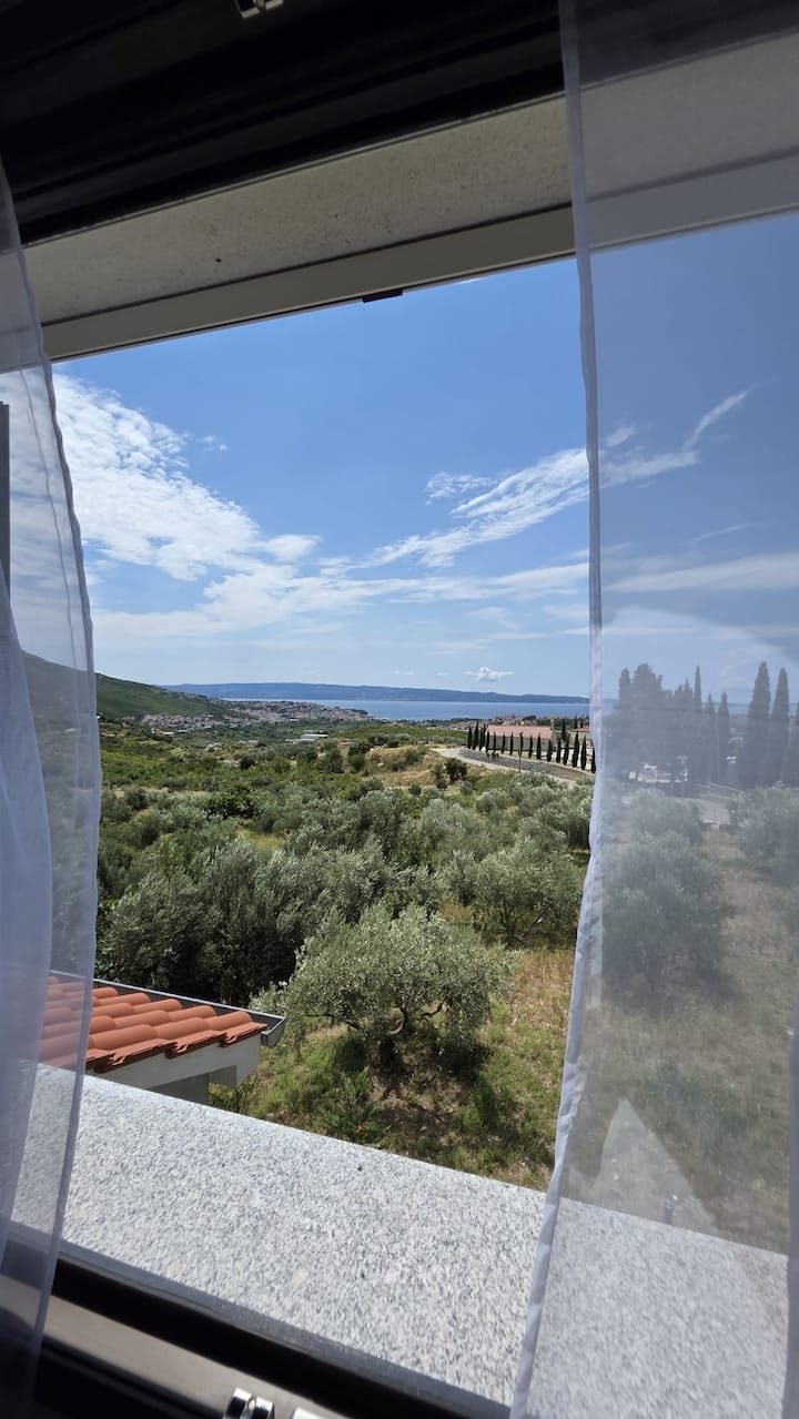 MareVista garden with olive trees and Mediterranean plants in Kučine